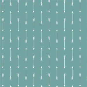 Arrows on Teal by Simple Simon & Company for Riley Blake Designs