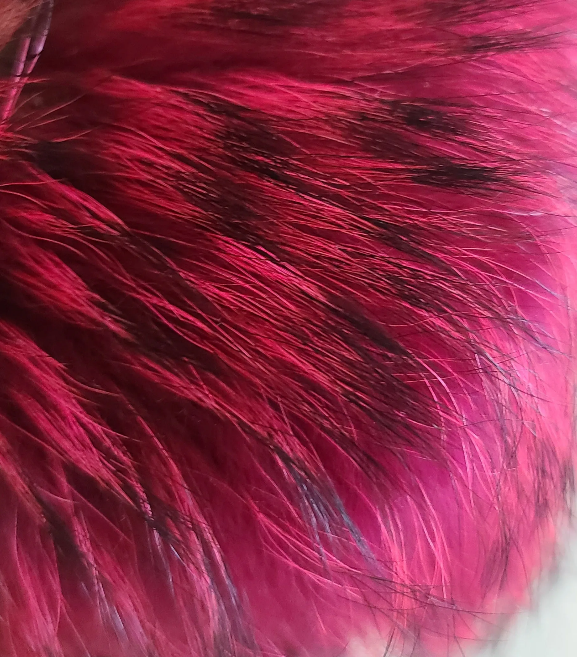 Natural Color Fur Boots (Black Tips)