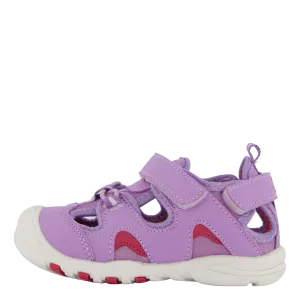 Pepper Purple